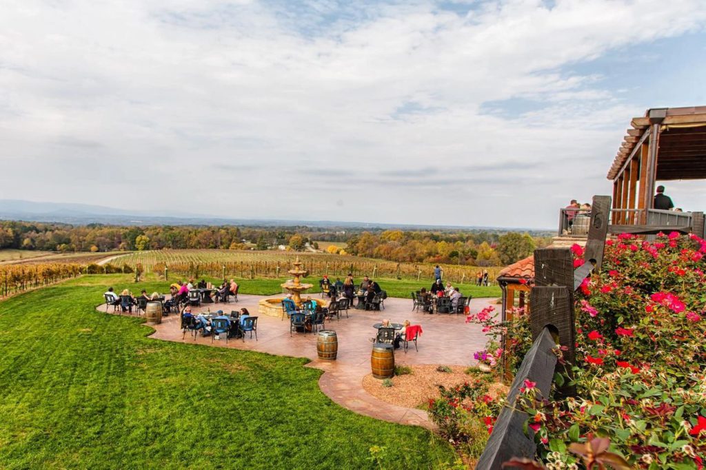 12 Charlotte Vineyards that will blow your mind
